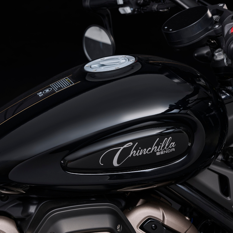 Chinchilla 500 - Imagen 2