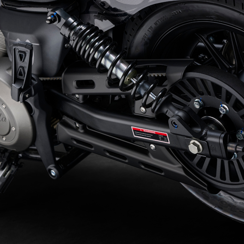 Chinchilla 500 - Imagen 4