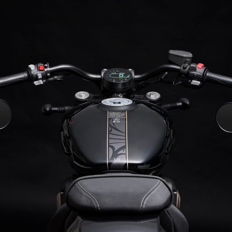 Chinchilla 500 - Imagen 3