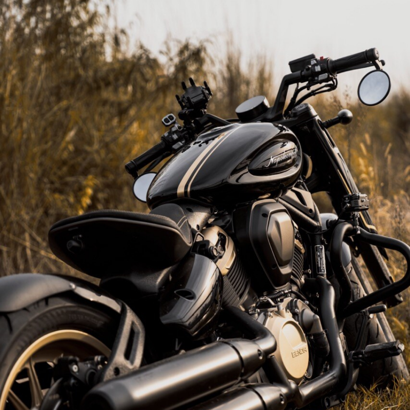 Napoleon 500 - Imagen 2